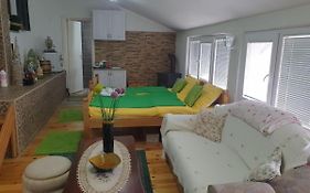 Apartment Warm Home